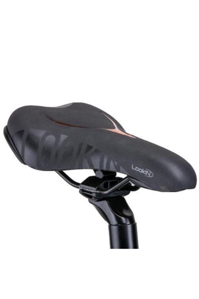 Rd5 Katlanır Elektrikli Bisiklet Siyah