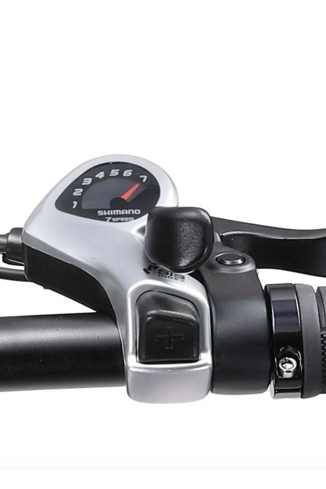 Ape Ryder Bonobo Iki Kişilik Elektrikli Bisiklet