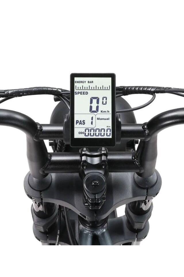 Ape Ryder Bonobo Iki Kişilik Elektrikli Bisiklet